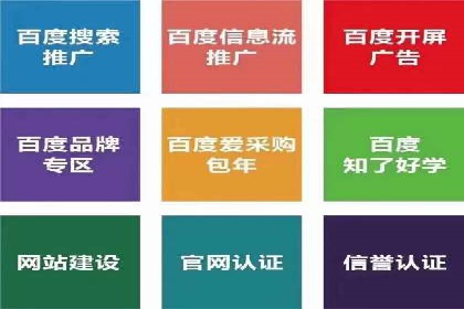 案例分析：百度推广代理助力企业抢占市场